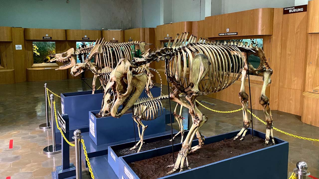 Wisata sejarah di bogor 5