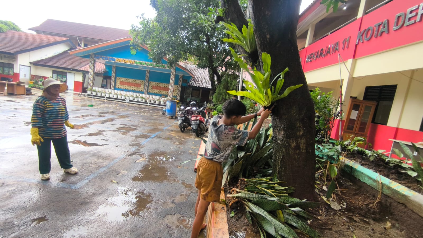 SDN Mekarjaya 11 perbaiki taman 1
