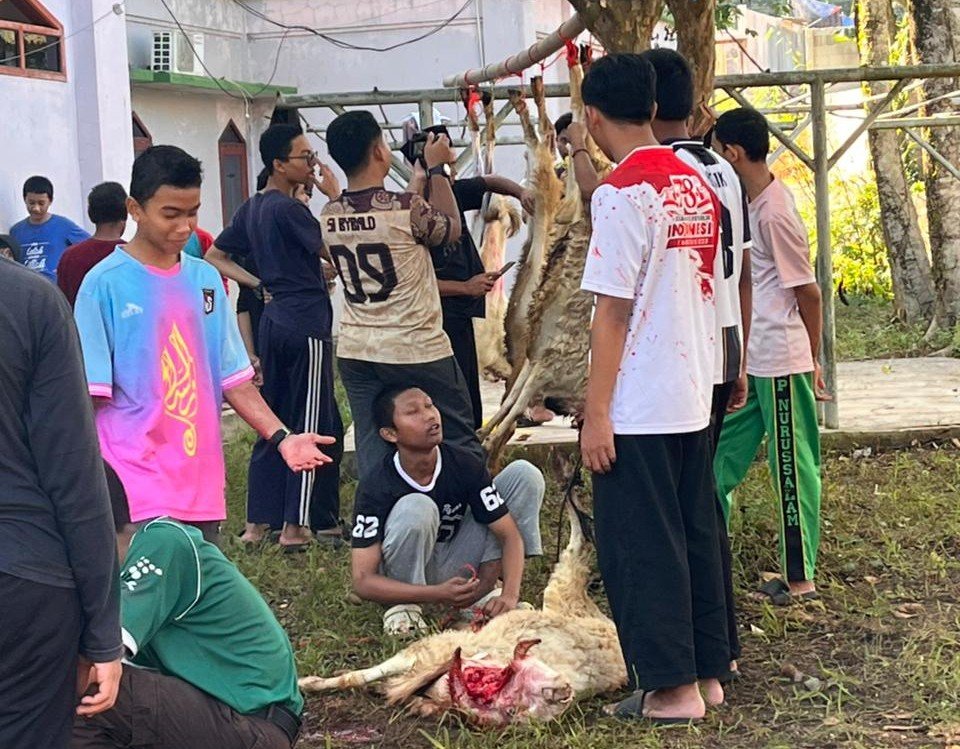 Kurban di Ponpes Nurussalam idul adha 1