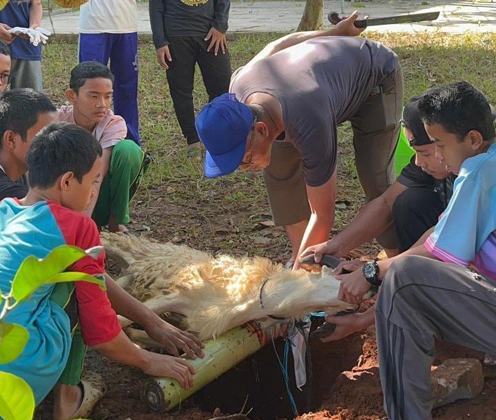 Kurban di Ponpes Nurussalam idul adha 2