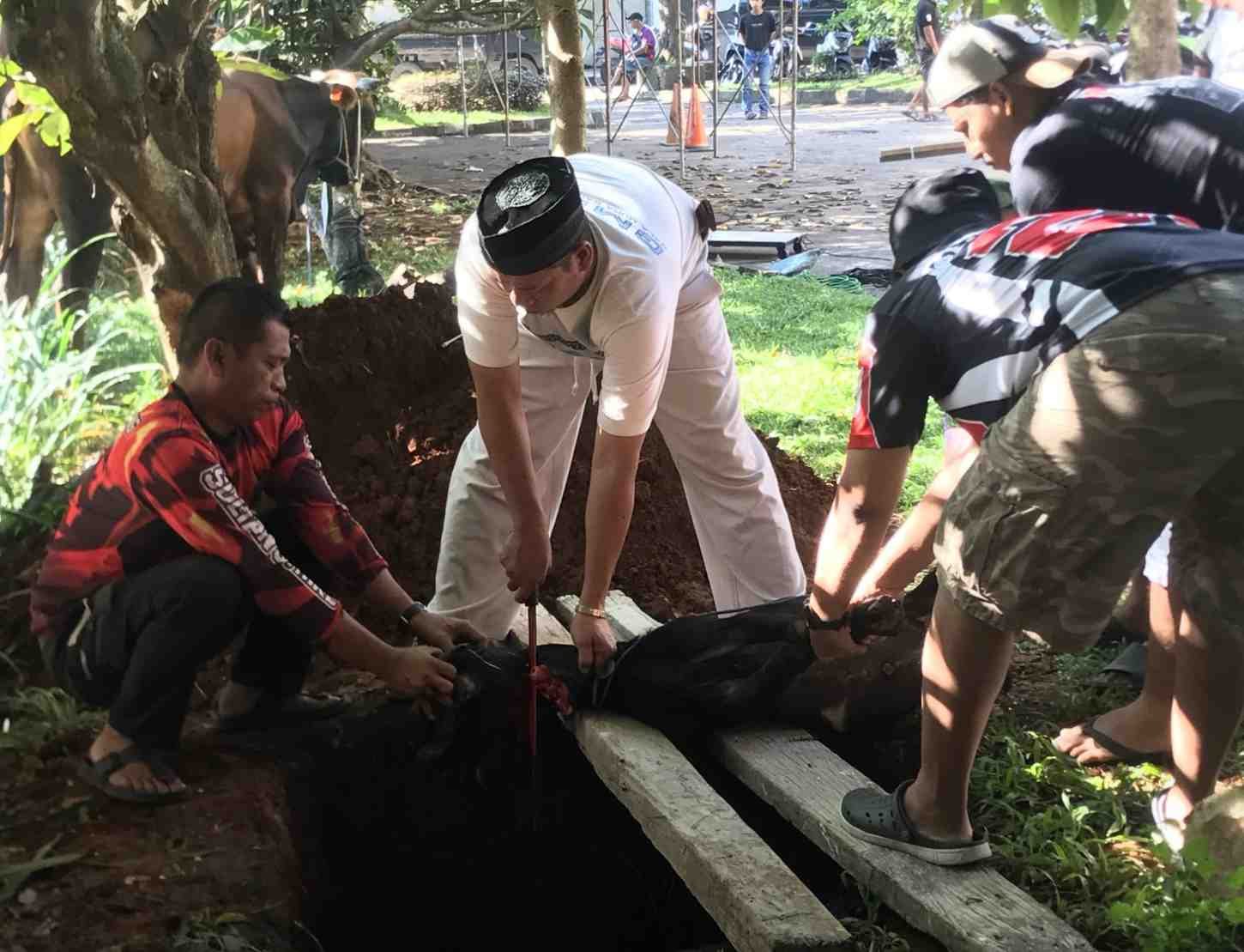 Sekolah Tunas Global potong hewan kurban 7
