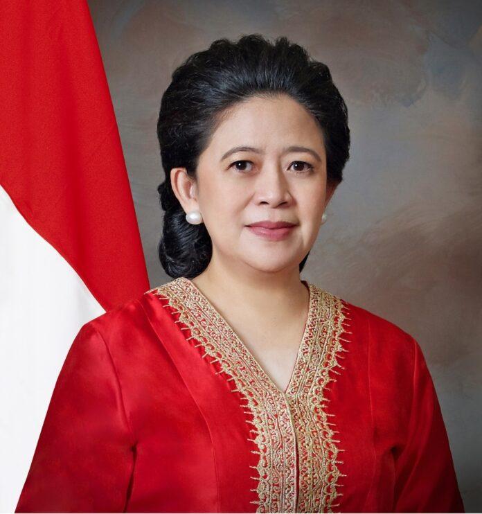 Puan Maharani dan PDIP