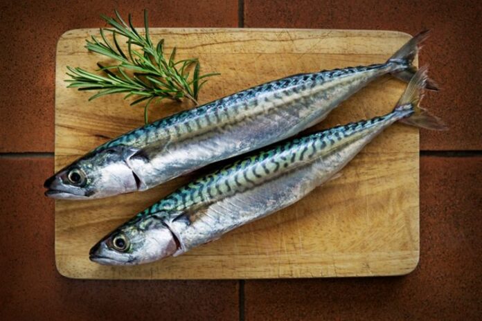 ikan dilarang penderita kolesterol
