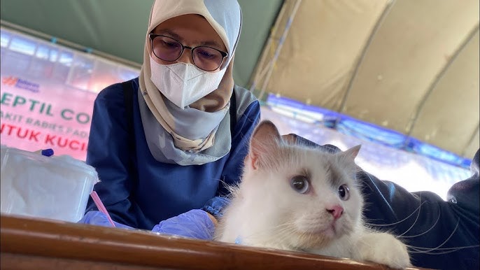 vaksin hewan di cirebon