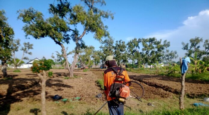 Lapas Terbuka Kendal Gaspol Optimalkan Ketahanan Pangan