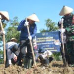 Lapas Terbuka Kendal Tanam Jagung Hibrida untuk Ketahanan Pangan