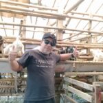 Permintaan Hewan Kurban Naik, Sonny Berkah Farm Utamakan Kualitas