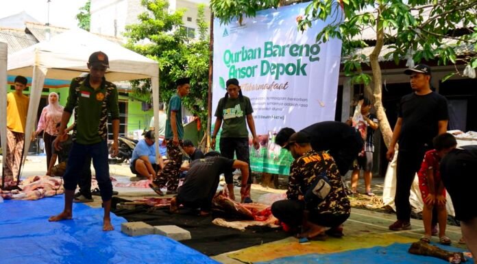 Ansor Depok Distribusikan Belasan Hewan Kurban di Hari Tasyrik