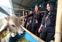 DKP3 Depok Periksa 100 Lapak Hewan Kurban