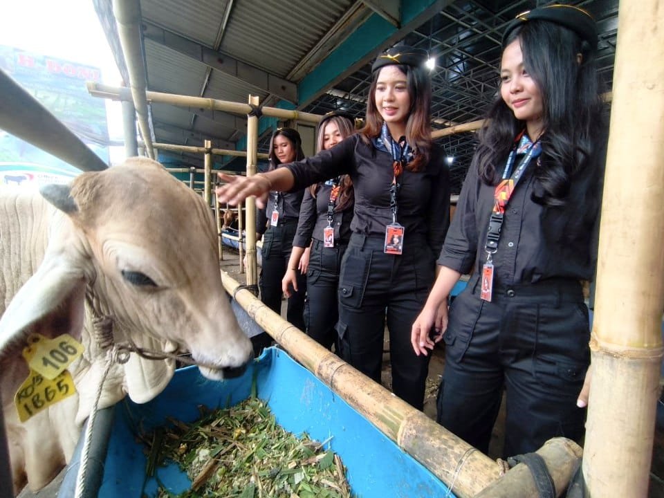 DKP3 Depok Periksa 100 Lapak Hewan Kurban