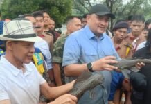Turun Langsung ke Situ Citatah Cibinong, Bupati Rudy Susmanto Tangkap 220 Kg Ikan Sapu-Sapu