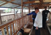Progres Ketahanan Pangan Lapas Terbuka Kendal Diapresiasi