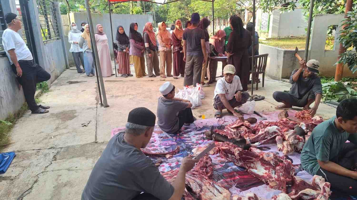Tiga Sapi dan Lima Kambing Domba Kurban di Ponpes Nurussalam, Daging Kurban Dibagikan untuk Yatim dan Dhuafa Kurban di Ponpes Nurussalam idul adha 3