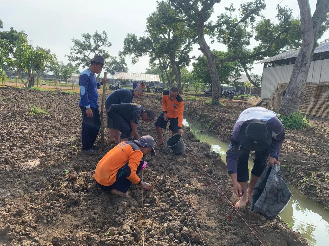 Lapas Terbuka Kendal ‘Lahirkan’ Kacang Tanah dalam Pelukan Mangga Raksasa