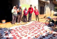 PDI Perjuangan Depok Tebar Kebaikan di Iduladha 1447 H