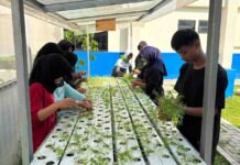 Kader Adiwiyata SMPN 34 Depok Sulap Green House Jadi Sumber Edukasi Ketahanan Pangan SMPN 34 Depok dan green House 3