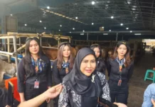 Ratu Meta Pilih Beli Sapi Kurban 1 Ton di Mall Hewan Qurban Depok