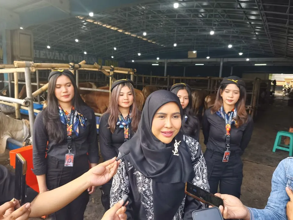 Ratu Meta Pilih Beli Sapi Kurban 1 Ton di Mall Hewan Qurban Depok
