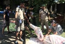 Dua Sapi dan Dua Kambing Disembelih di Sekolah Tunas Global Depok, Berikut Foto-fotonya Sekolah Tunas Global potong hewan kurban 2
