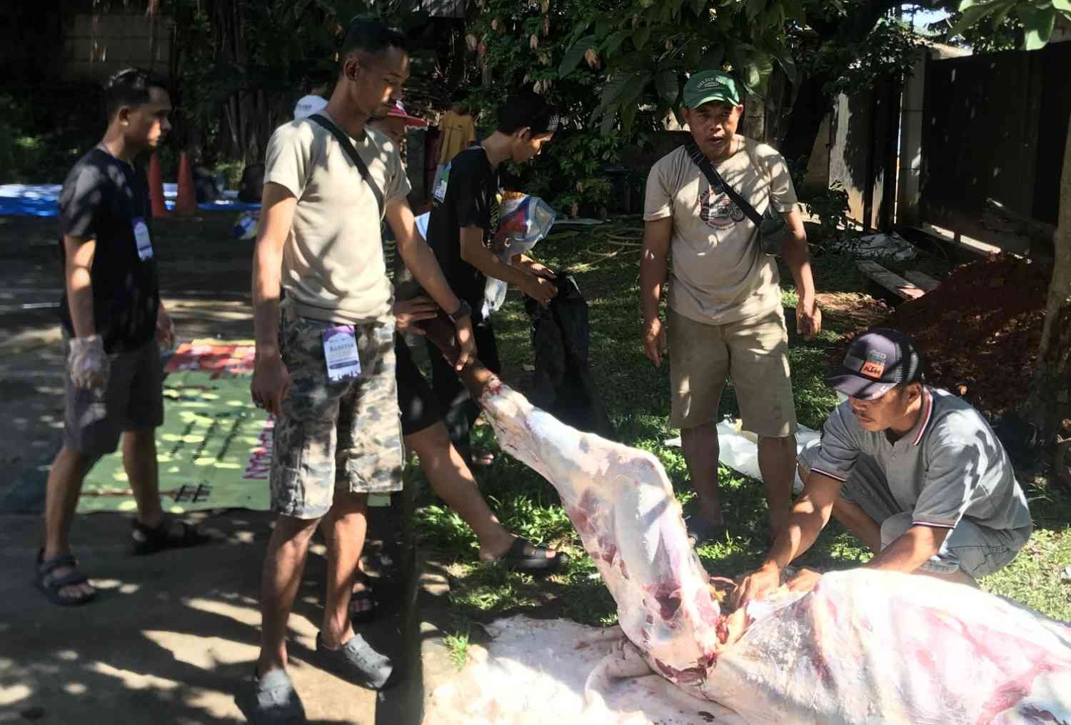 Dua Sapi dan Dua Kambing Disembelih di Sekolah Tunas Global Depok, Berikut Foto-fotonya Sekolah Tunas Global potong hewan kurban 2