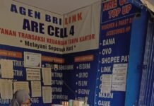 Dari Bunga Sintetis ke Agen BRILink, Kisah Single Parent Kelola Empat Toko, Sukses Miliaran Rupiah