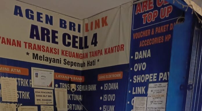 Dari Bunga Sintetis ke Agen BRILink, Kisah Single Parent Kelola Empat Toko, Sukses Miliaran Rupiah