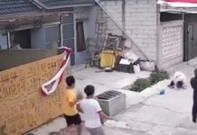 Bocah SD di Bandung Diterkam Pitbull Lepas hingga Masuk Rumah Sakit