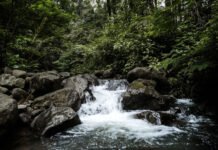 Petualangan Penuh Makna di Alam, EIGER Nature Wajah Baru Ekowisata di Bogor