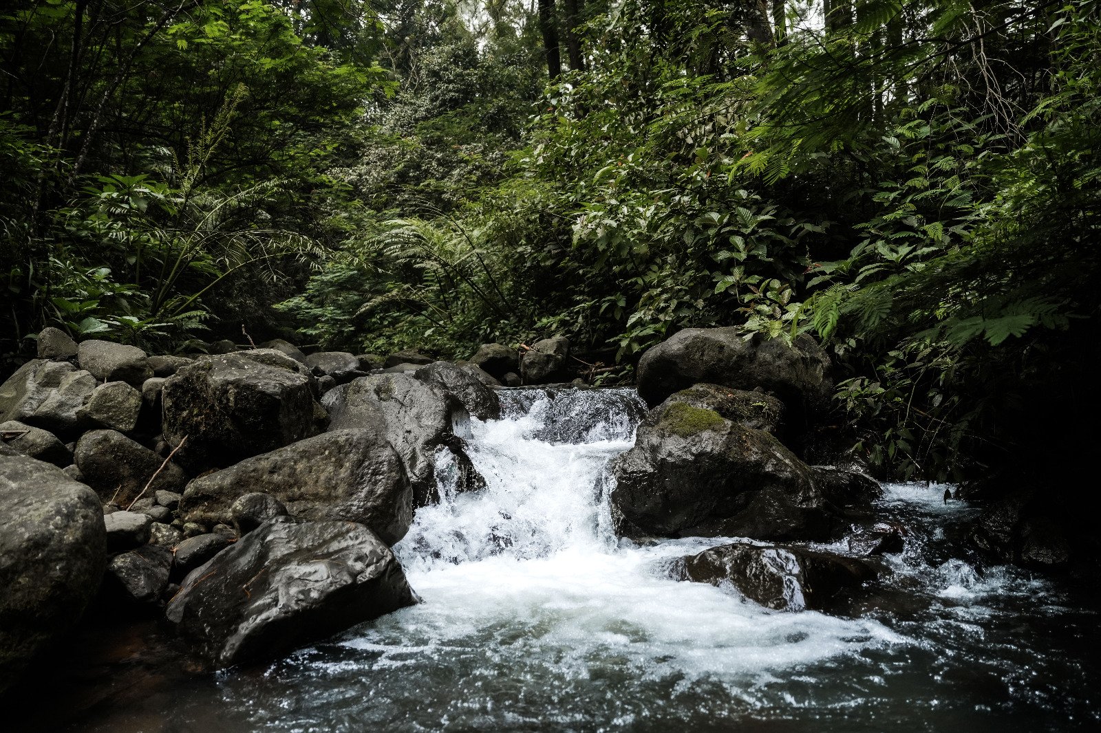 Petualangan Penuh Makna di Alam, EIGER Nature Wajah Baru Ekowisata di Bogor