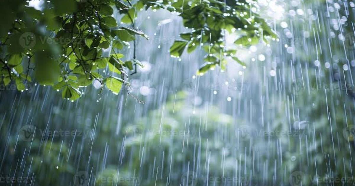Dulu Dijuluki Kota Hujan, Kini Bogor Justru Merindukan Rintiknya