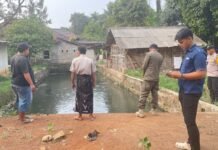 Balita di Bogor Ditemukan Meninggal Diduga Tenggelam di Kolam Lele, Polisi Cek TKP